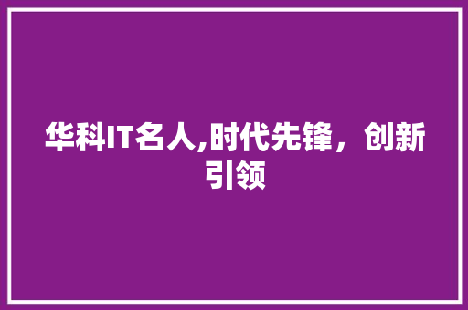 华科IT名人,时代先锋，创新引领