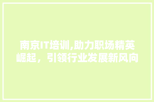 南京IT培训,助力职场精英崛起，引领行业发展新风向