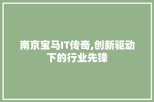 南京宝马IT传奇,创新驱动下的行业先锋 必应SEO