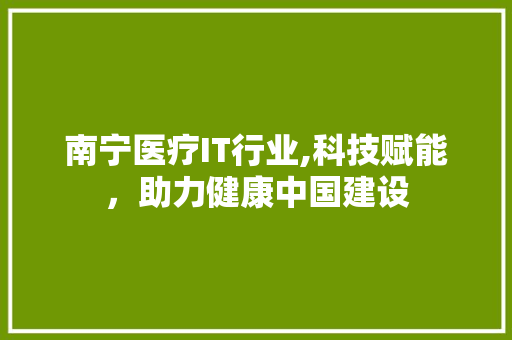 南宁医疗IT行业,科技赋能，助力健康中国建设 GoogleSEO