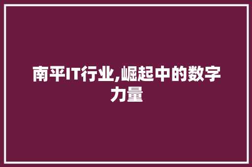 南平IT行业,崛起中的数字力量 必应SEO
