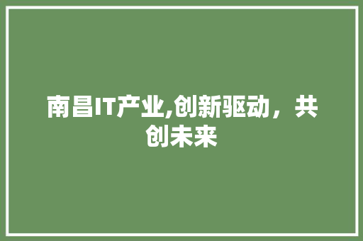 南昌IT产业,创新驱动，共创未来 GoogleSEO