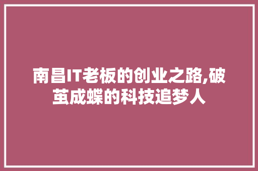 南昌IT老板的创业之路,破茧成蝶的科技追梦人