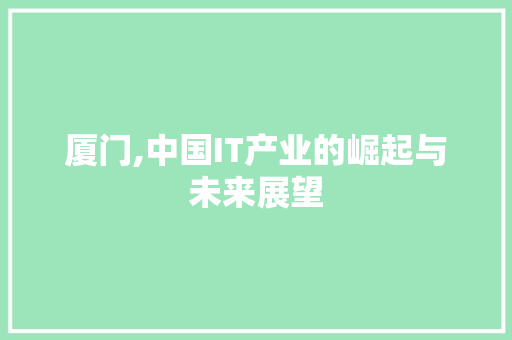 厦门,中国IT产业的崛起与未来展望