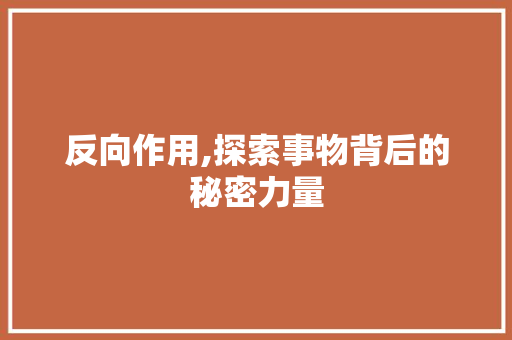 反向作用,探索事物背后的秘密力量
