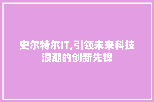 史尔特尔IT,引领未来科技浪潮的创新先锋 必应SEO