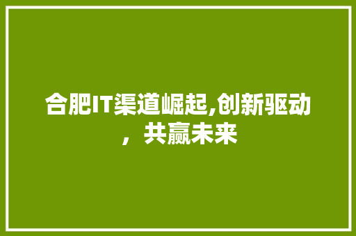 合肥IT渠道崛起,创新驱动，共赢未来