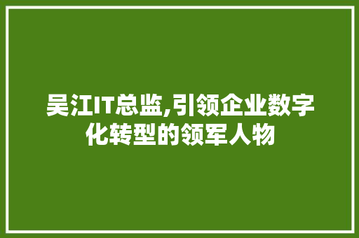 吴江IT总监,引领企业数字化转型的领军人物