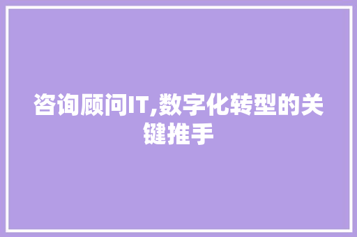 咨询顾问IT,数字化转型的关键推手 必应SEO