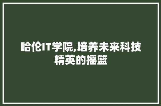 哈伦IT学院,培养未来科技精英的摇篮