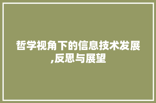 哲学视角下的信息技术发展,反思与展望