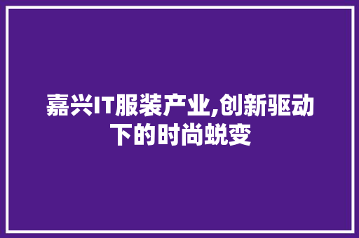 嘉兴IT服装产业,创新驱动下的时尚蜕变