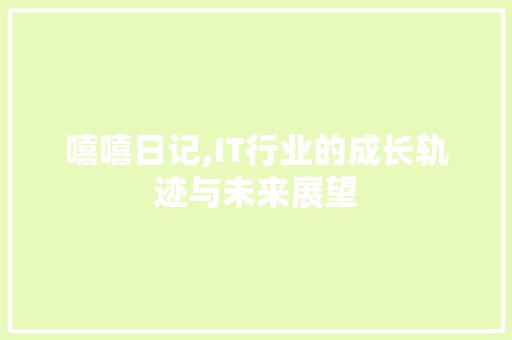 嘻嘻日记,IT行业的成长轨迹与未来展望