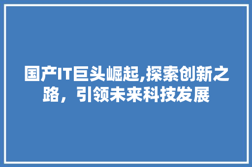 国产IT巨头崛起,探索创新之路，引领未来科技发展 神马SEO