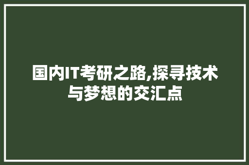 国内IT考研之路,探寻技术与梦想的交汇点