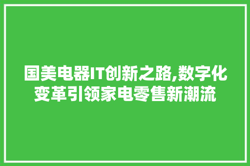 国美电器IT创新之路,数字化变革引领家电零售新潮流