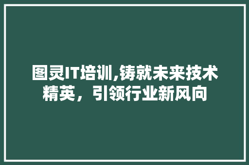图灵IT培训,铸就未来技术精英，引领行业新风向