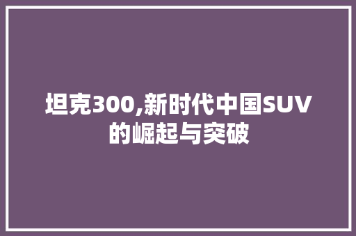 坦克300,新时代中国SUV的崛起与突破
