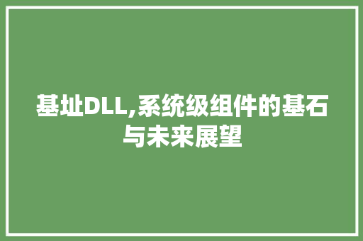 基址DLL,系统级组件的基石与未来展望 必应SEO