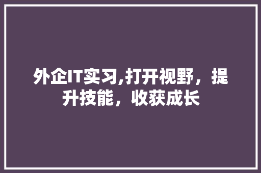 外企IT实习,打开视野，提升技能，收获成长 百度SEO
