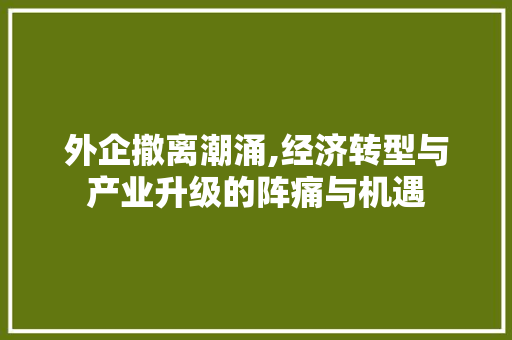 外企撤离潮涌,经济转型与产业升级的阵痛与机遇
