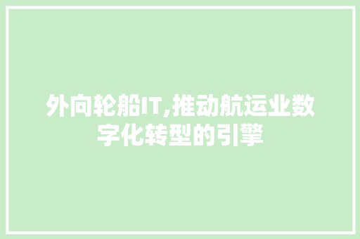 外向轮船IT,推动航运业数字化转型的引擎 GoogleSEO