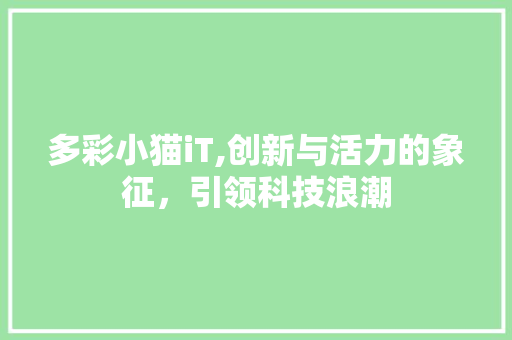 多彩小猫iT,创新与活力的象征，引领科技浪潮