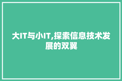 大IT与小IT,探索信息技术发展的双翼