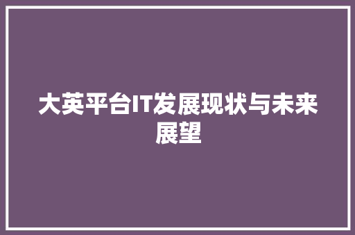 大英平台IT发展现状与未来展望