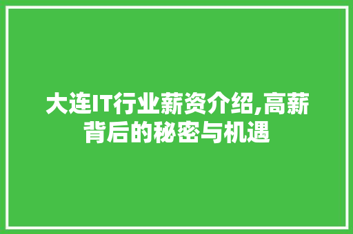 大连IT行业薪资介绍,高薪背后的秘密与机遇