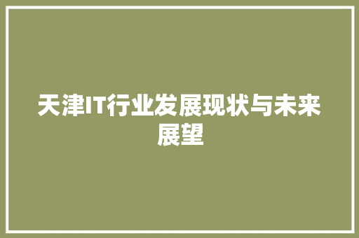 天津IT行业发展现状与未来展望
