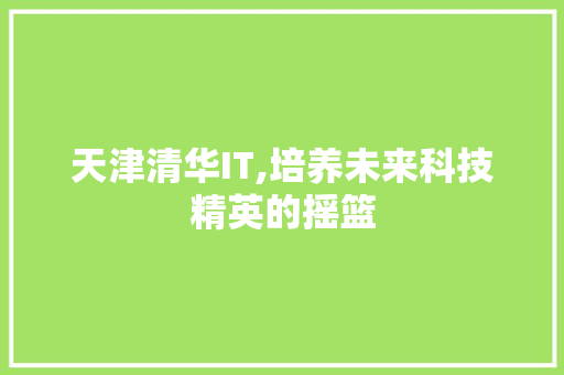 天津清华IT,培养未来科技精英的摇篮