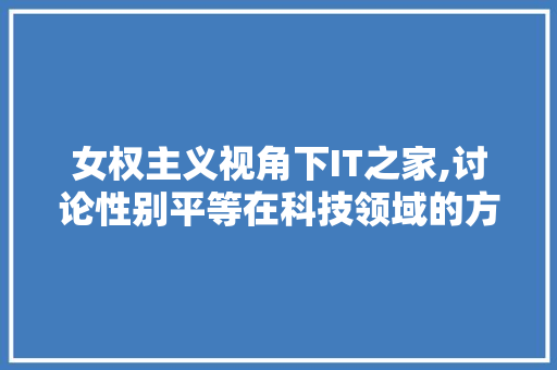 女权主义视角下IT之家,讨论性别平等在科技领域的方法与挑战