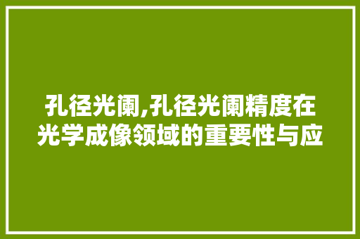 孔径光阑,孔径光阑精度在光学成像领域的重要性与应用