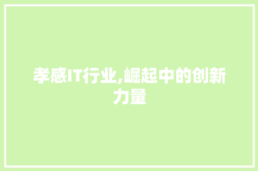 孝感IT行业,崛起中的创新力量