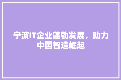 宁波IT企业蓬勃发展，助力中国智造崛起