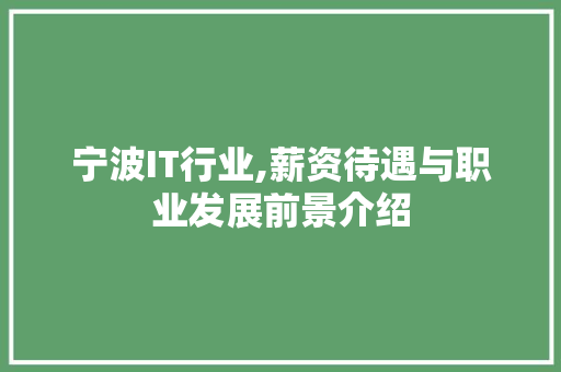 宁波IT行业,薪资待遇与职业发展前景介绍