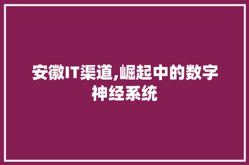 安徽IT渠道,崛起中的数字神经系统