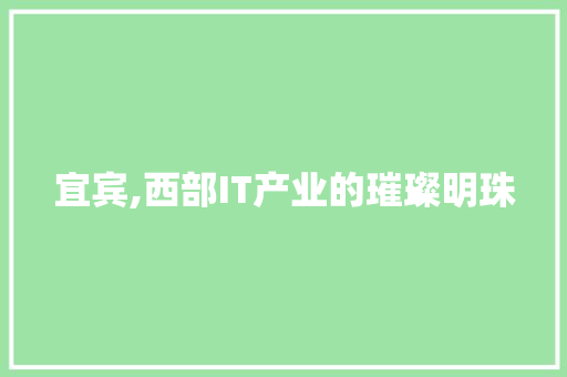 宜宾,西部IT产业的璀璨明珠