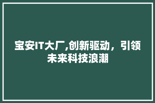 宝安IT大厂,创新驱动，引领未来科技浪潮