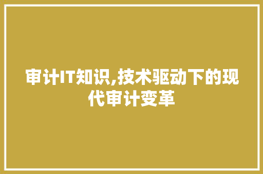审计IT知识,技术驱动下的现代审计变革