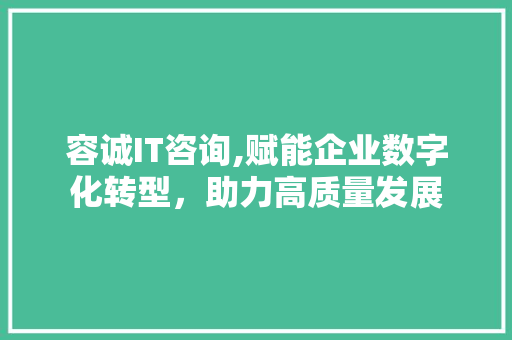 容诚IT咨询,赋能企业数字化转型，助力高质量发展