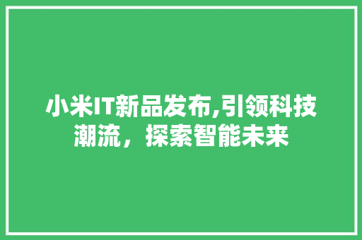 小米IT新品发布,引领科技潮流，探索智能未来