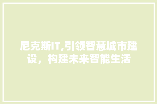 尼克斯IT,引领智慧城市建设，构建未来智能生活