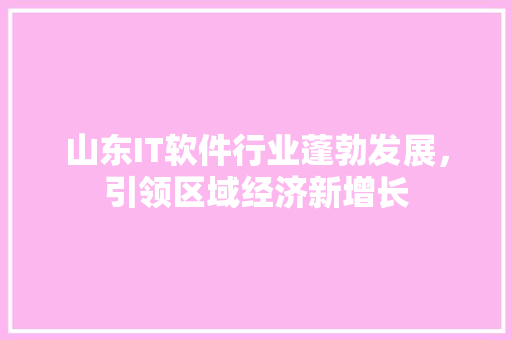 山东IT软件行业蓬勃发展，引领区域经济新增长 必应SEO