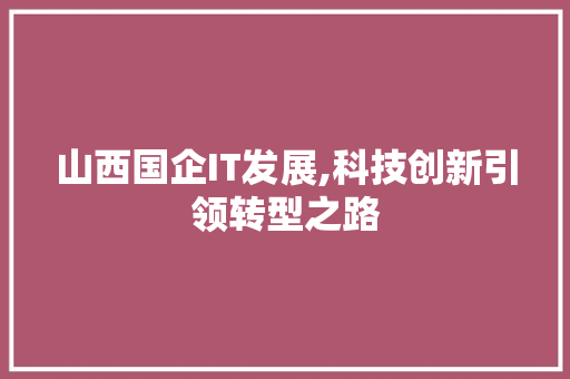 山西国企IT发展,科技创新引领转型之路