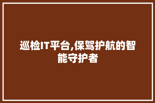 巡检IT平台,保驾护航的智能守护者