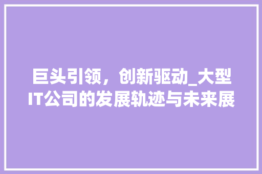 巨头引领，创新驱动_大型IT公司的发展轨迹与未来展望