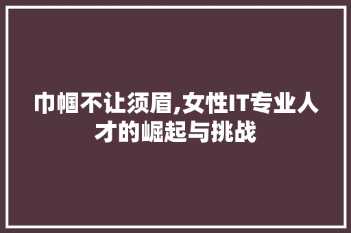 巾帼不让须眉,女性IT专业人才的崛起与挑战
