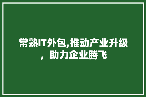 常熟IT外包,推动产业升级，助力企业腾飞 必应SEO